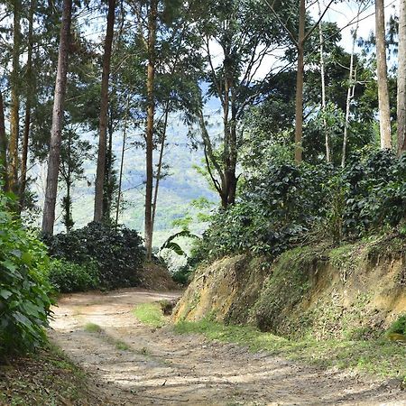 Finca Santa Rosa Mariscal Castilla Ngoại thất bức ảnh