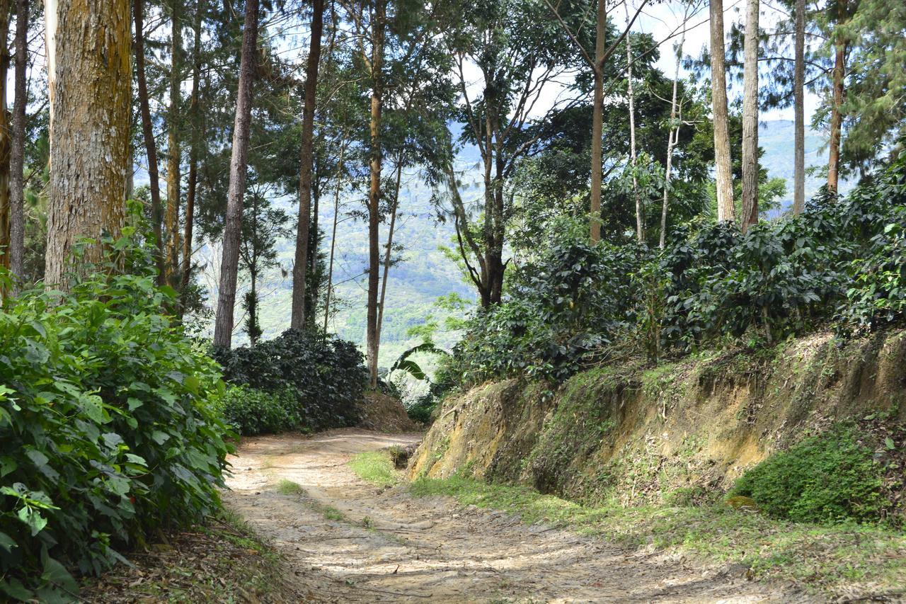 Finca Santa Rosa Mariscal Castilla Ngoại thất bức ảnh