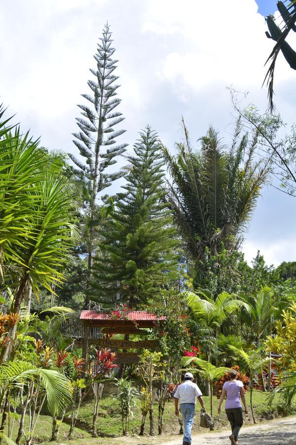 Finca Santa Rosa Mariscal Castilla Ngoại thất bức ảnh